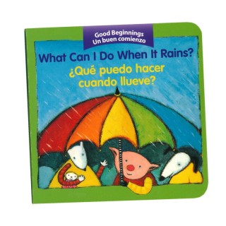 HarperCollins What Can I Do When it Rains?, ¿qué Puedo Hacer Cuando Llueve? Bilingual Board Book