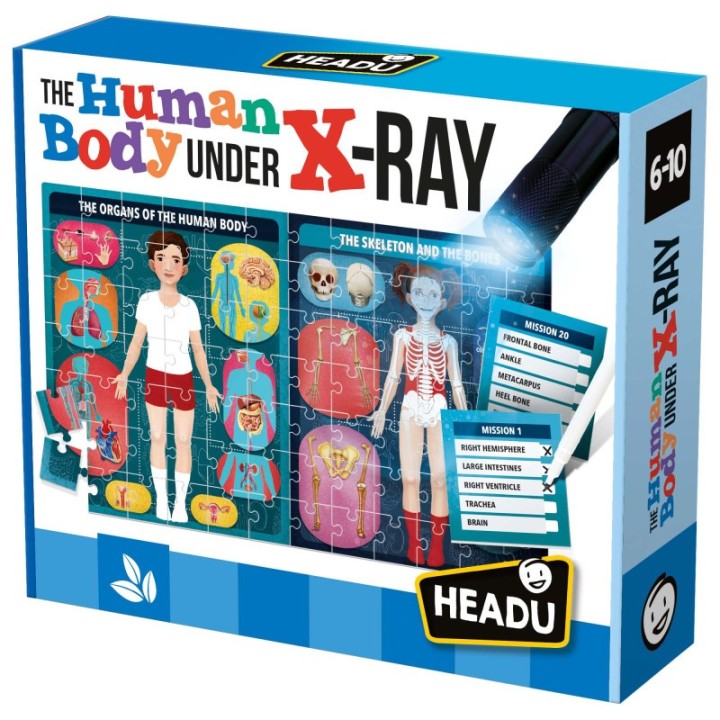 Headu The Human Body Under X-Ray