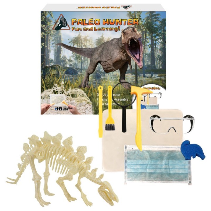 HamiltonBuhl® Paleo Hunter™ Dig Kit for STEAM Education - Stegosaurus