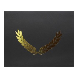 Hayes Publishing Gold Foil Stamped Black Certificate Folders, 10" x 13", Pack of 30