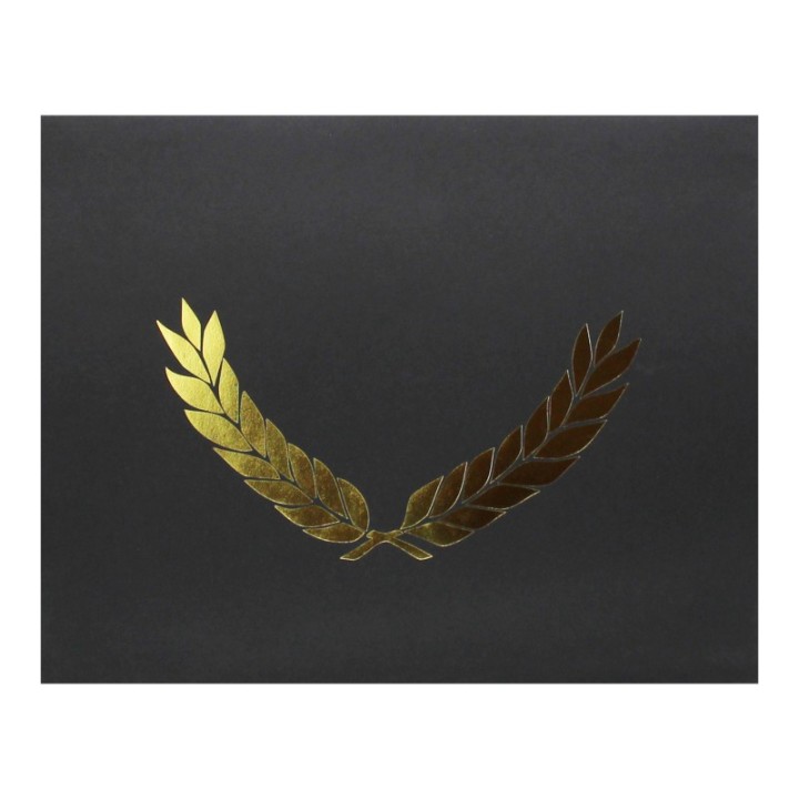 Hayes Publishing Gold Foil Stamped Black Certificate Folders, 10" x 13", Pack of 30