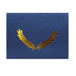 Hayes Publishing Embossed Certificate Folder, Blue, Pack of 30