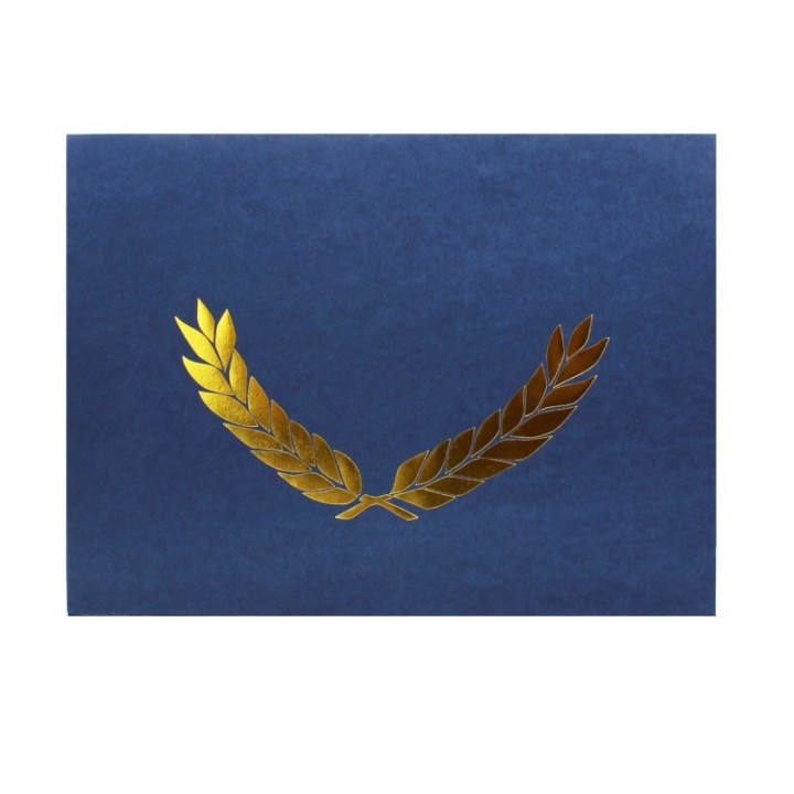 Hayes Publishing Embossed Certificate Folder, Blue, Pack of 30