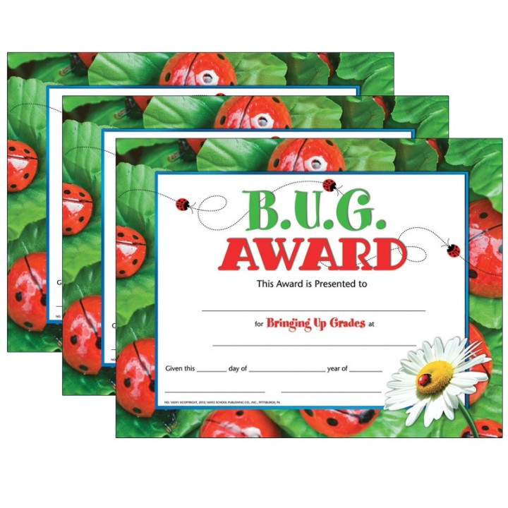 Hayes Publishing B.U.G. Award, 30 Per Pack, 3 Packs