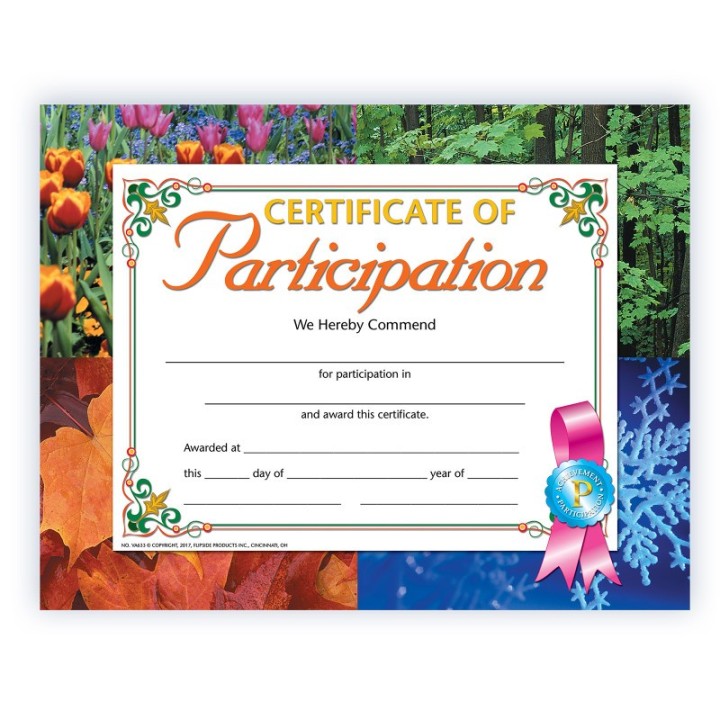 Hayes Publishing Certificate of Participation, 8.5" x 11", Pack of 30