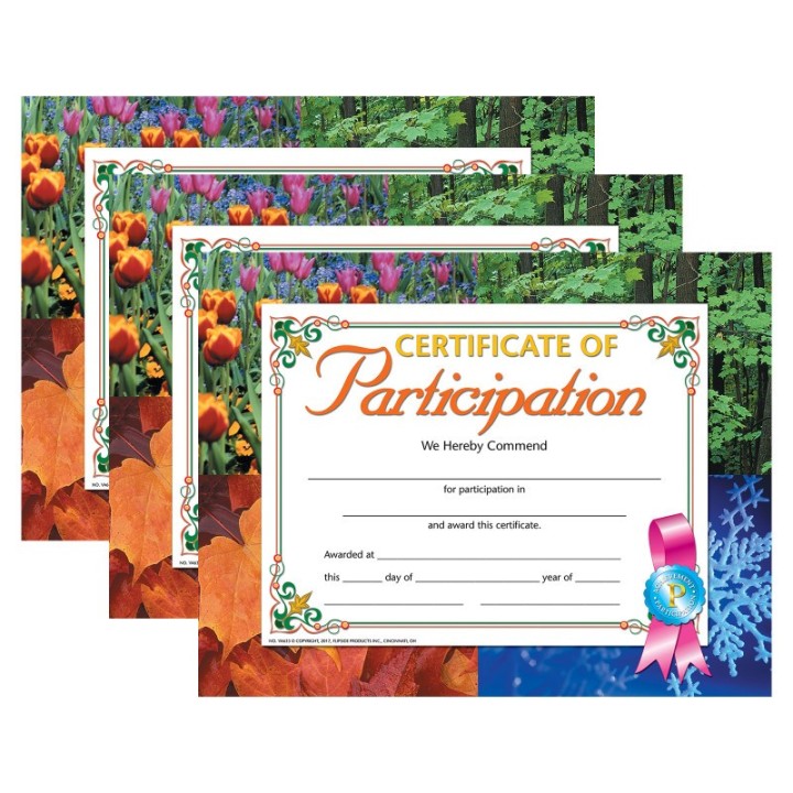 Hayes Publishing Certificate of Participation, 8.5" x 11", 30 Per Pack, 3 Packs