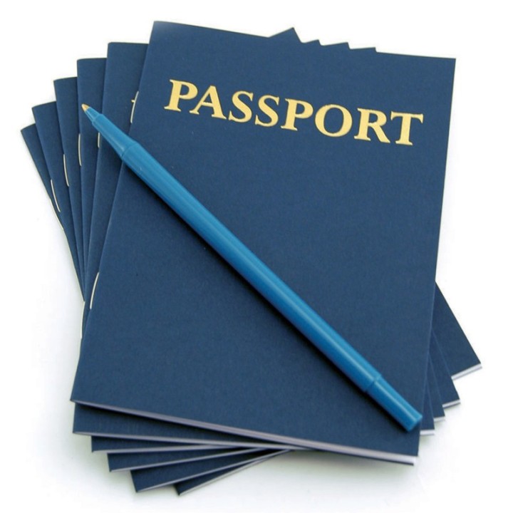 Hygloss® My Passport Books, Pack of 24