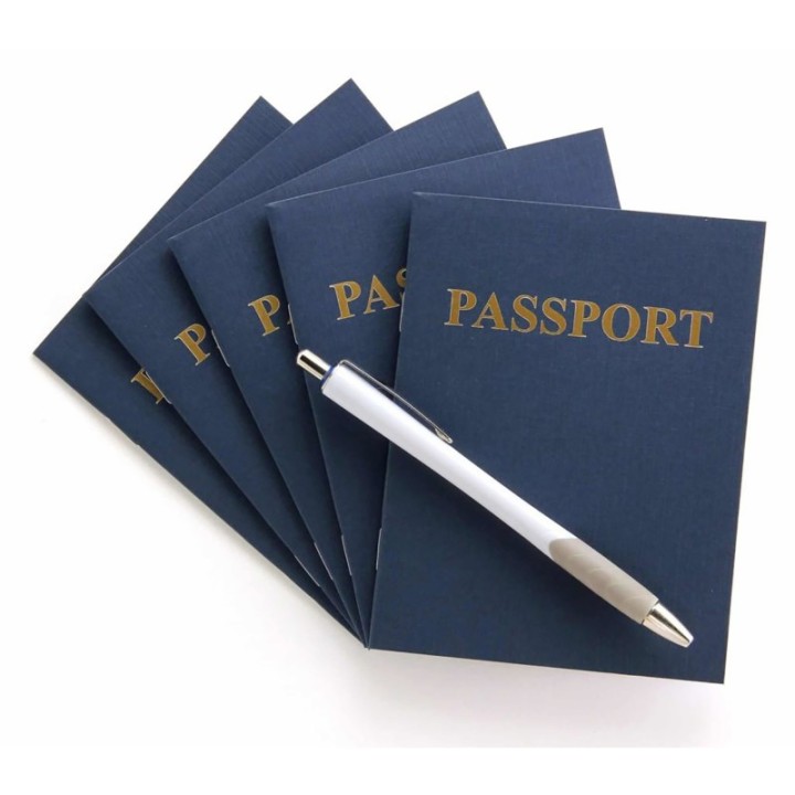 Hygloss® My Passport Books, 12 Per Pack