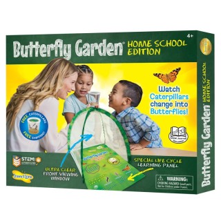 Insect Lore Butterfly Garden® Homeschool Edition