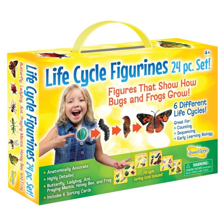Insect Lore Life Cycle Figurines Set, 24 Pieces