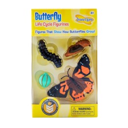 Insect Lore Butterfly Life Cycle Stages