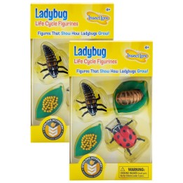 Insect Lore Ladybug Life Cycle Stages, 4 Per Set, 2 Sets