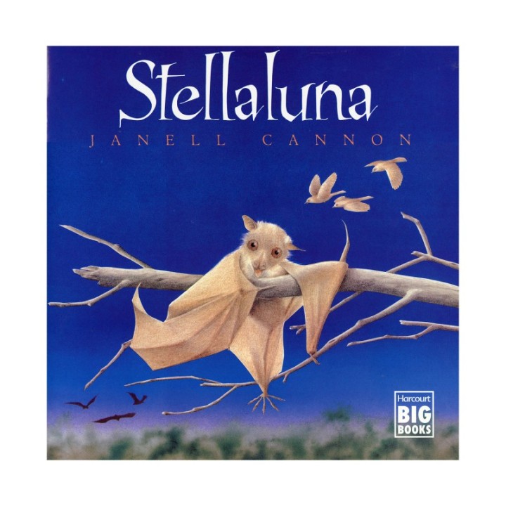 Houghton Mifflin Harcourt Stellaluna Big Book