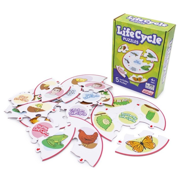 Junior Learning® Life Cycle Puzzles