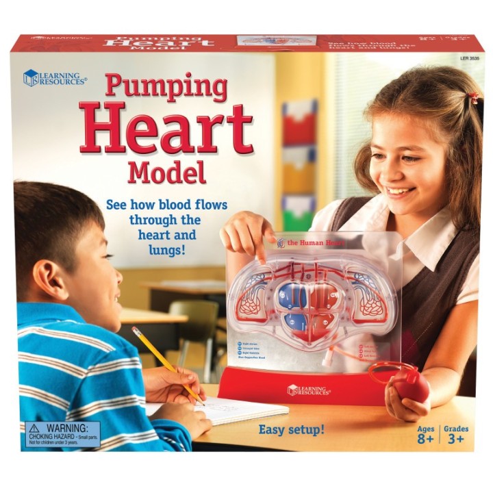 Learning Resources Pumping Heart Model