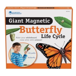 Learning Resources Giant Magnetic Butterfly Life Cycle, Set of 9