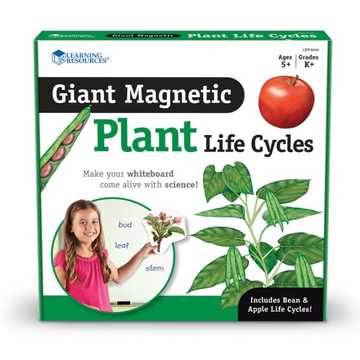 Learning Resources Giant Magnetic Plant Life Cycle, Set of 12