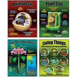 McDonald Publishing Life Science Posters, Set of 4