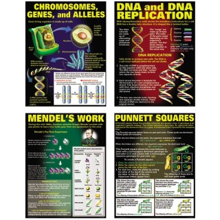 McDonald Publishing DNA & Heredity Posters, Set of 4