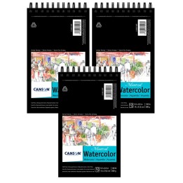Canson Artist Series Montval Watercolor Pad, Top Wire Binding, 12 Sheet, 5.5x8.5 inch, Pack of 3