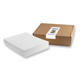 Canson Artist Series Mixed Media Sheet Bulk Pack, 100 Sheet, 9x12 inch, 1 Count