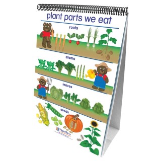 NewPath Learning Early Childhood Science Readiness Flip Charts, All About Plants