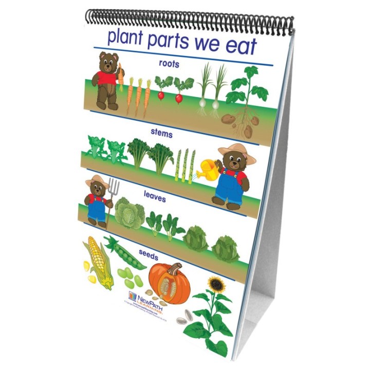 NewPath Learning Early Childhood Science Readiness Flip Charts, All About Plants