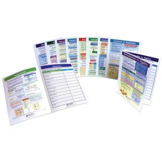 NewPath Learning Algebra Skills Visual Learning Guides™ Set