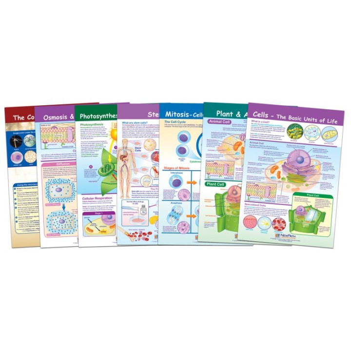 NewPath Learning Cells Bulletin Board Chart Set, Grades 3-5
