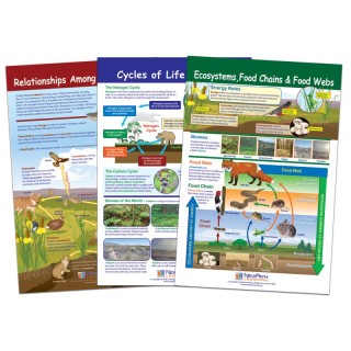 NewPath Learning Ecology Bulletin Board Chart Set, Grades 3-5