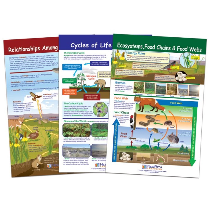 NewPath Learning Ecology Bulletin Board Chart Set, Grades 3-5