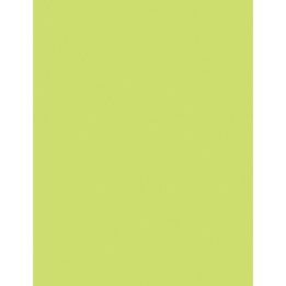Pacon® Multi-Purpose Paper, Lime, 8-1/2" x 11", 500 Sheets