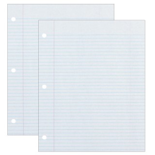 Ecology® Recycled Filler Paper, White, 3-Hole Punched, 9/32" Ruled w/ Margin 8-1/2" x 11", 500 Sheets Per Pack, 2 Packs