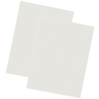 Pacon® Grid Ruled Drawing Paper, White, 1/4" Quadrille Ruled, 9" x 12", 500 Sheets Per Pack, 2 Packs
