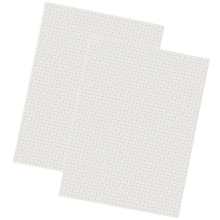 Pacon® Grid Ruled Drawing Paper, White, 1/4" Quadrille Ruled, 9" x 12", 500 Sheets Per Pack, 2 Packs