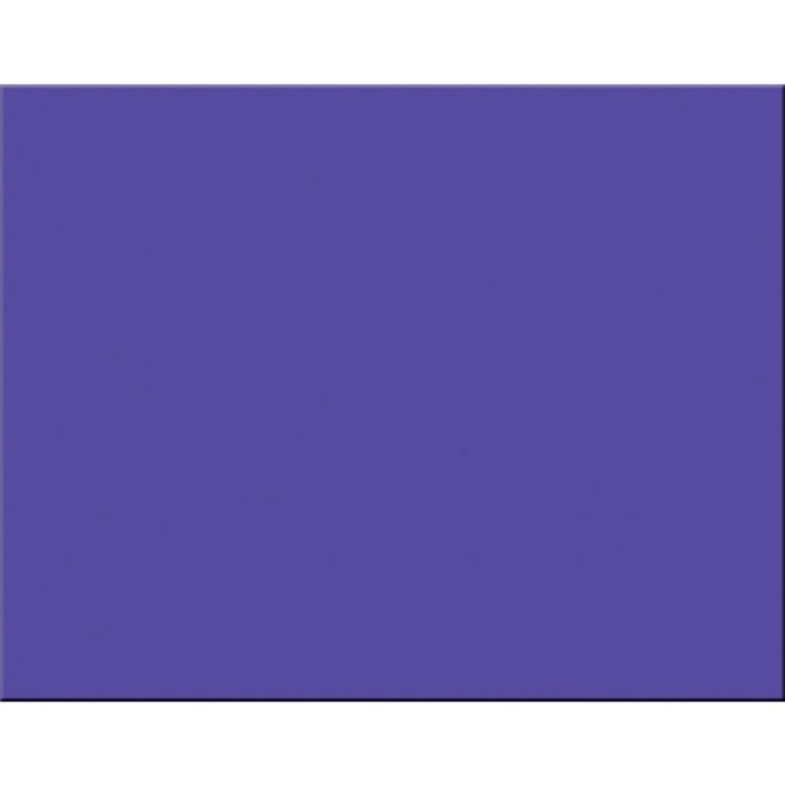 Pacon® 4-Ply Railroad Board, Purple, 22" x 28", 25 Sheets