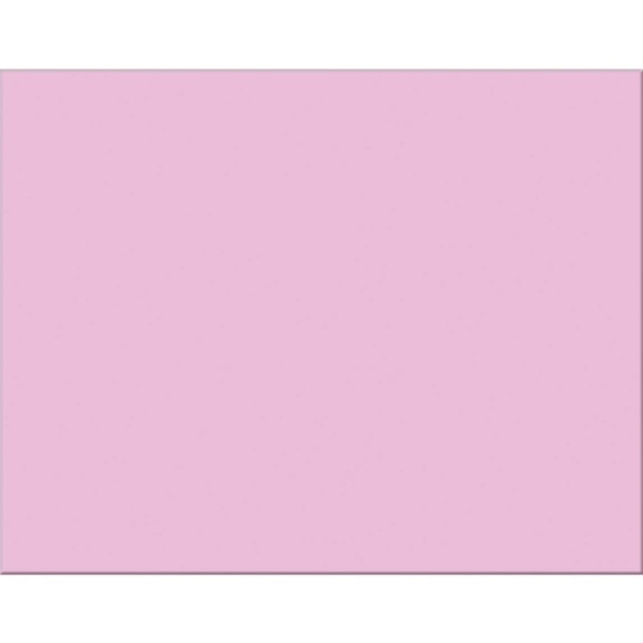 Pacon® 4-Ply Railroad Board, Pink, 22" x 28", 25 Sheets