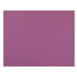 Pacon® 4-Ply Railroad Board, Magenta, 22" x 28", 25 Sheets