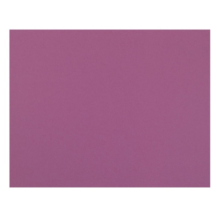 Pacon® 4-Ply Railroad Board, Magenta, 22" x 28", 25 Sheets