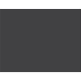 Pacon® 6-Ply Railroad Board, Black, 22" x 28", 25 Sheets