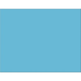 Pacon® 4-Ply Railroad Board, Light Blue, 22" x 28", 25 Sheets