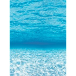 Fadeless® Bulletin Board Art Paper, Under The Sea, 48" x 12', 4 Rolls