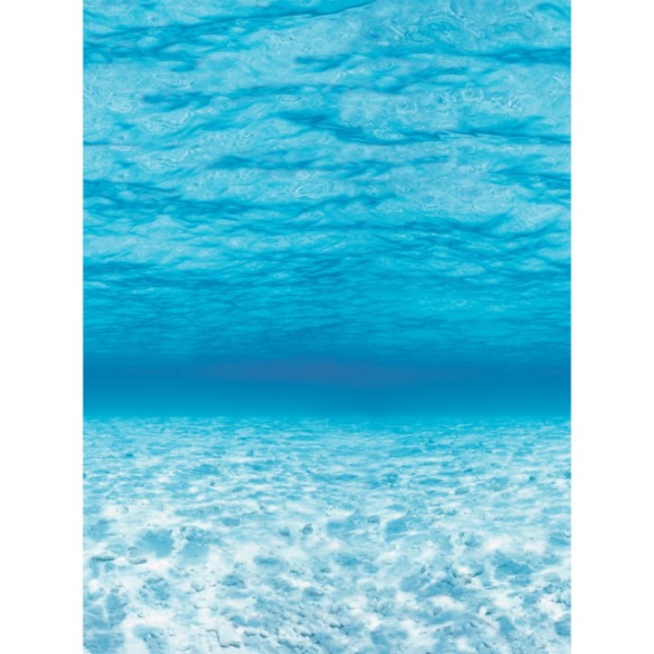 Fadeless® Bulletin Board Art Paper, Under The Sea, 48" x 12', 4 Rolls