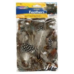 Creativity Street® Natural Feathers, Natural Assorted Colors, Assorted Sizes, 1/2 oz.