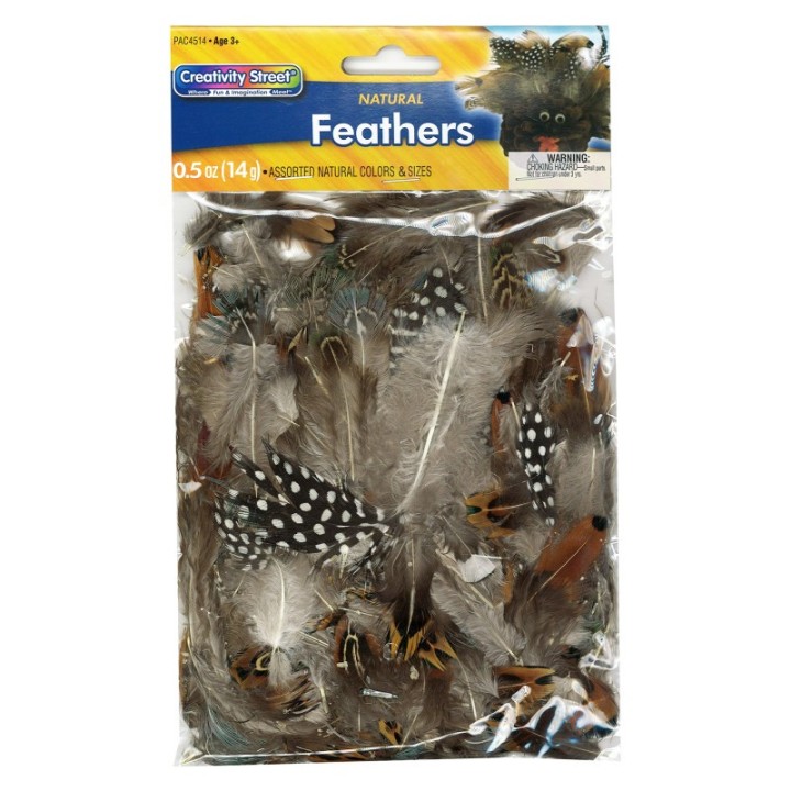 Creativity Street® Natural Feathers, Natural Assorted Colors, Assorted Sizes, 1/2 oz.