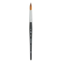 Princeton Aqua Elite Round Brush, Synthetic Bristles, Short Handle Watercolor Paintbrush, Matte Black, Size 12, 1 Count