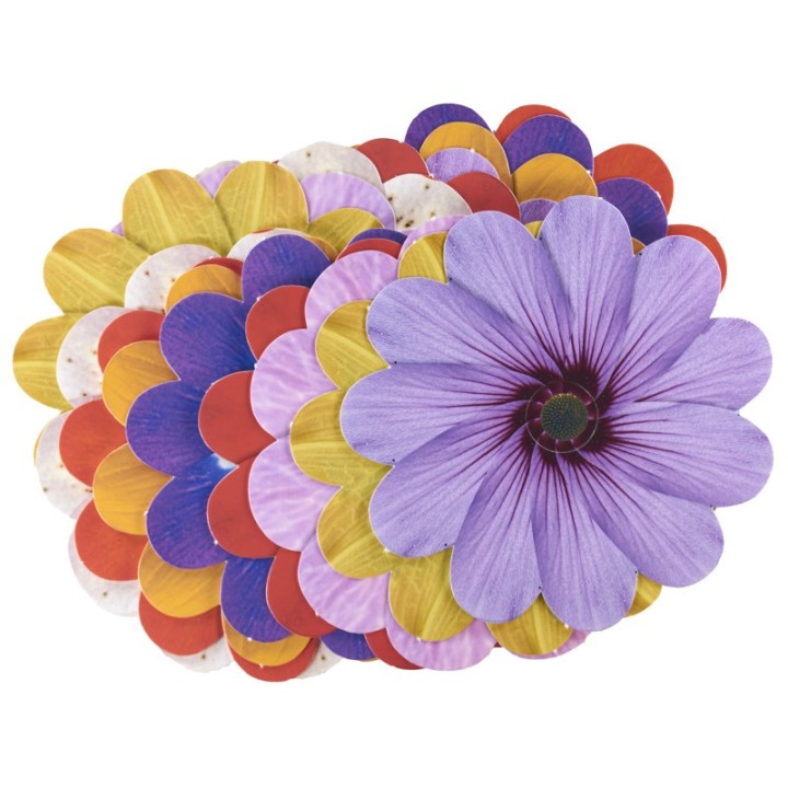 Roylco® Take-Home Weaving Flowers