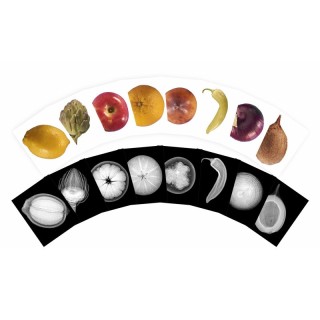 Roylco® Plant X-Rays & Picture Cards, Set of 42