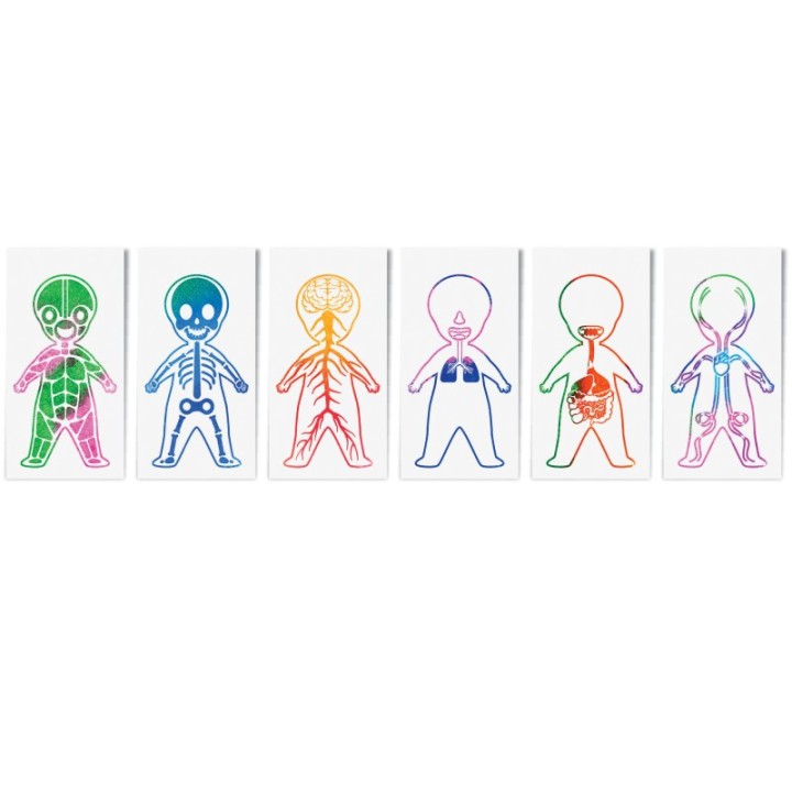 Roylco® Look Inside Me Paint Sheets