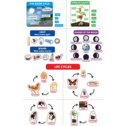 Scholastic Teaching Solutions Early Science Concepts Bulletin Board Set